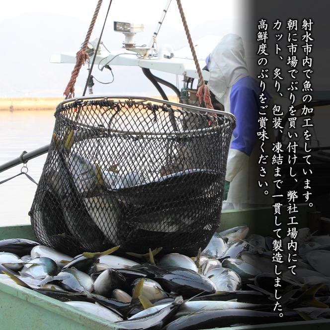 富山湾産お造り用ぶり炙りブロック/魚介 刺身 ブリ ぶり/富山県射水市