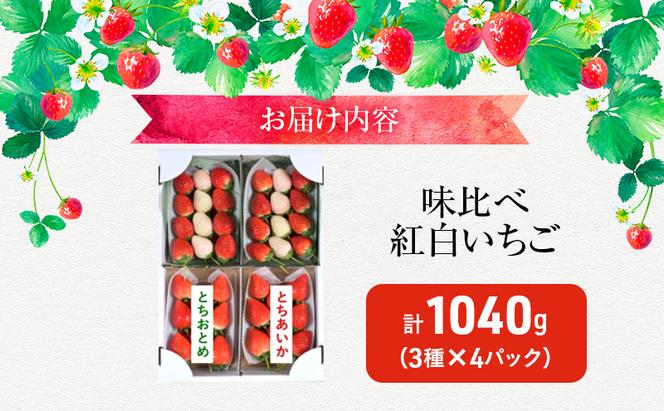 味くらべ紅白いちご 3種 4パック （2月中旬～下旬発送） いちご 果物 フルーツ 苺 イチゴ くだもの とちあいか ミルキーベリー とちおとめ 朝取り 新鮮 美味しい 甘い