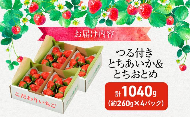 あいか×おとめハーフ＆ハーフ 4パック （2月中旬～2月下旬発送） いちご 果物 フルーツ 苺 イチゴ くだもの とちあいか とちおとめ 朝取り 新鮮 美味しい 甘い