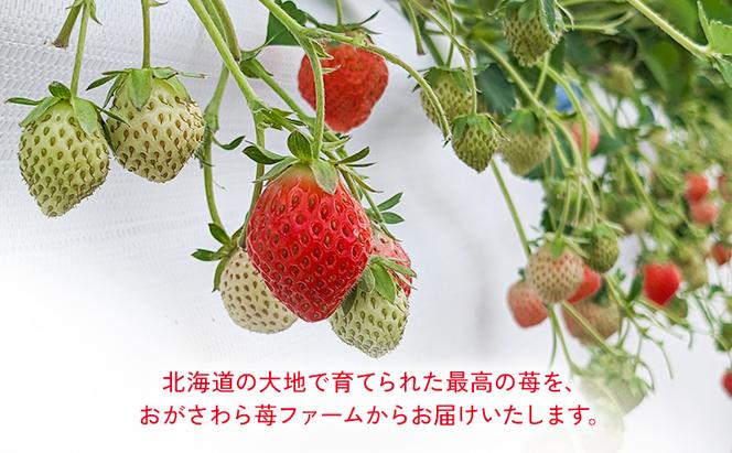 北海道 伊達市 いちご すずあかね Lサイズ 24個入り 苺 イチゴ スイーツ デザート 果物 甘い 赤 鮮やか 新鮮 ケーキ お菓子作り