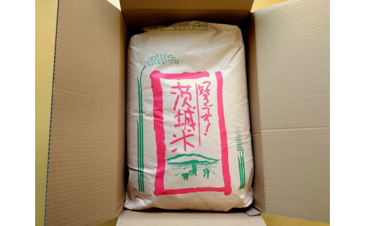 【訳あり】令和5年茨城県産コシヒカリ30kg【玄米】