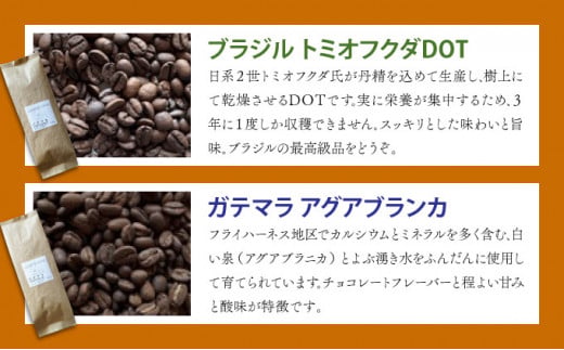 自家焙煎 コーヒー豆 100g×5個セット 500g