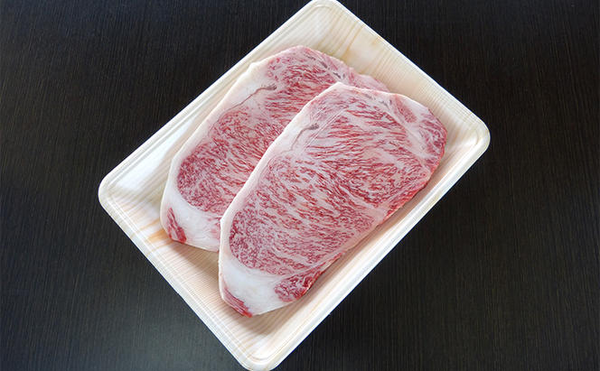牛肉 飛騨牛 サーロイン ステーキ 600g(1枚 約300g×2枚) 黒毛和牛 Ａ5 美味しい お肉 牛 肉 和牛 サーロインステーキ 【岐阜県美濃市】
