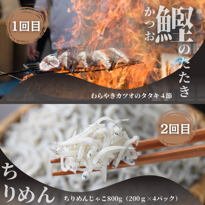 【四国一小さなまち】 《カネアリ水産》魚屋のうまいものづくし  6ヶ月定期便 （全6回）