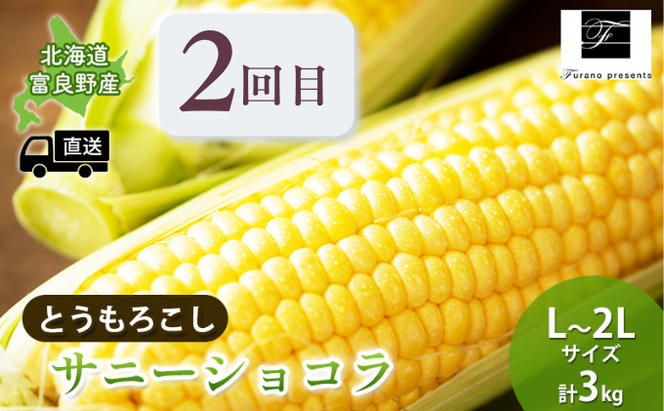 【年3回定期便】【2025年7～10月お届け】高品質 フラノプレゼンツ が贈る 青肉 メロン 野菜 大満足 詰め合わせ 定期便 (メロン とうもろこし かぼちゃ 北海道 富良野市 野菜 果物 フルーツ 甘い 新鮮 ふらのメロン)