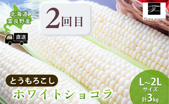 【年3回定期便】【2025年7～10月お届け】高品質 フラノプレゼンツ が贈る 青肉 メロン＆野菜  定期便 (メロン とうもろこし かぼちゃ  北海道 富良野市 野菜 果物 フルーツ 甘い 新鮮 ふらのメロン いも コーン 夏野菜)