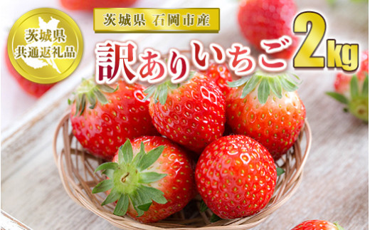 【先行予約】訳ありいちご 2kg【茨城県共通返礼品 石岡市】
※2024年12月上旬～2025年4月下旬頃に順次発送予定