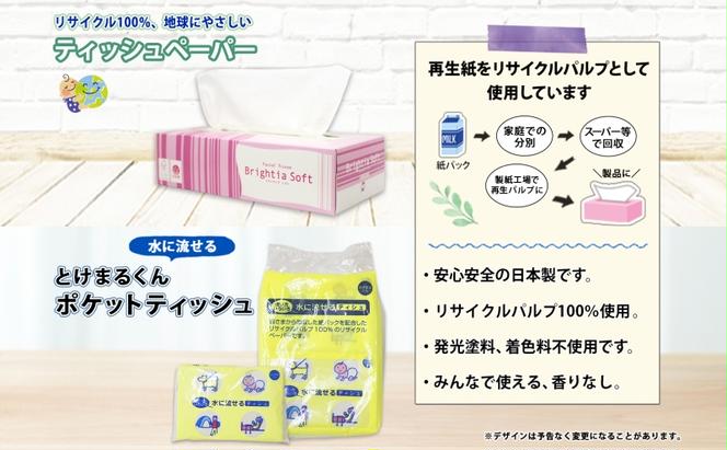 北海道 定期便 2ヶ月毎全6回 普段使いセット トイレットペーパー ダブル 12ロール ティッシュ ボックス 5箱 ポケット 12個 香りなし リサイクル エコ 日本製 消耗品 備蓄 送料無料
