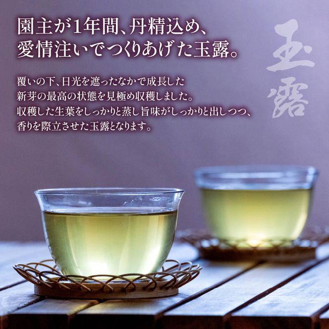 【農林水産大臣賞受賞】 緑茶 飲み比べセット【 玉露 ・ 閃き 】(各 100g ) 