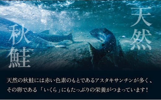 北海道産天然秋鮭　いくら醤油漬け 500g