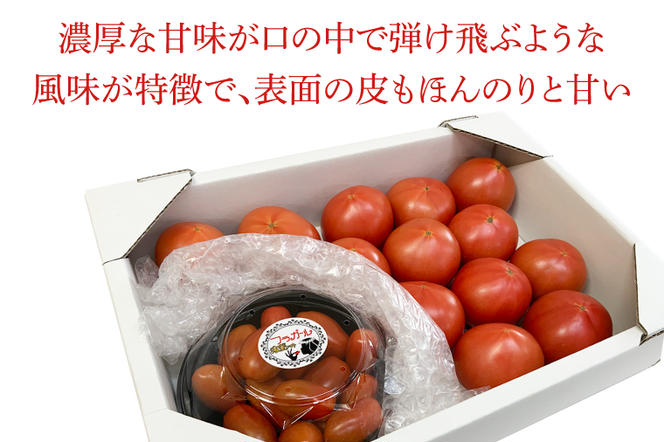 FP-2　★数量限定★東山農園のアップルトマトとフラガール　合計約1kg