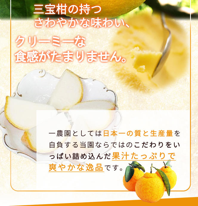 ZP6009-GFTn_【先行予約】【ギフト用】まるごと 三宝柑 シャーベット 5個 セット