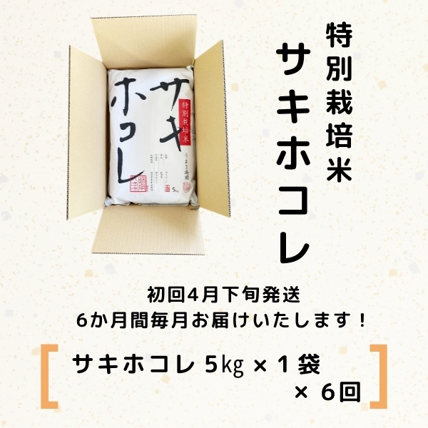 秋田県産サキホコレ5kg - 米・雑穀・粉類