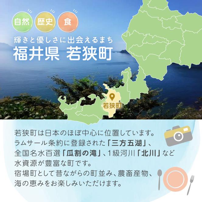 【祝北陸新幹線延伸】旅行 若狭町 プレミアム宿泊利用券 15000円分 1枚 宿泊補助券 福井県 福井 チケット 宿泊券 旅行券 宿泊 旅館 ホテル 1万5千円