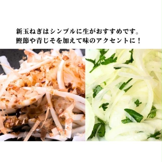 訳あり 新たまねぎ 5kg シルクオニオン 野菜 サラダ 玉ねぎ たまねぎ 新玉 スープ カレー サイズミックス 大小 傷 国産 オニオン 常温 送料無料 愛媛県 愛南町青果市場 発送:11月上旬～