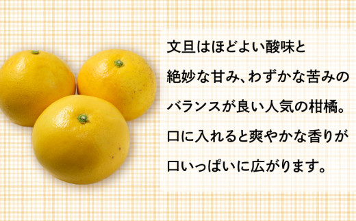 訳あり 文旦 10kg みかん 蜜柑 果物 柑橘 フルーツ 傷 シミ サイズミックス ジュース ゼリー ビタミン 美容 健康 山口農園 送料無料 発送期間: 2025年2月下旬～2025年4月末（なくなり次第終了）