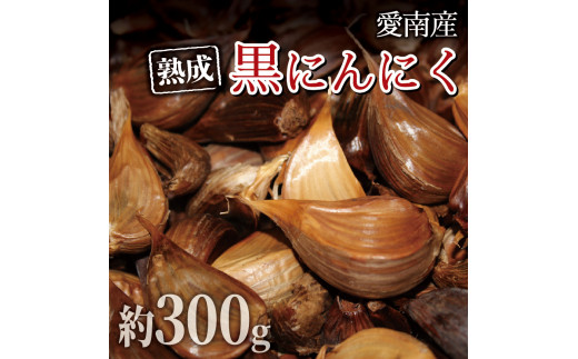 石川ファームの愛南町産熟成黒にんにく 300g 発送期間：2024年6月20日～12月30日