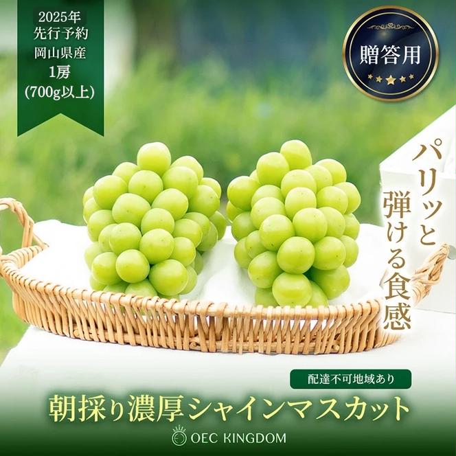 ぶどう 2025年 先行予約 シャイン マスカット 1房（700g以上）贈答クラス  ブドウ 葡萄  岡山県産 国産 フルーツ 果物 ギフト OEC KINGDOM ぶどう家