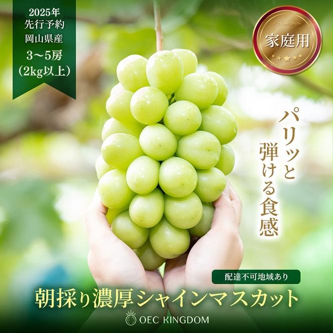 ぶどう 2025年 先行予約 ［ご家庭用］ シャイン マスカット3～5房（合計2kg以上） ブドウ 葡萄 岡山県産 国産 フルーツ 果物 OEC KINGDOM ぶどう家 果物類 