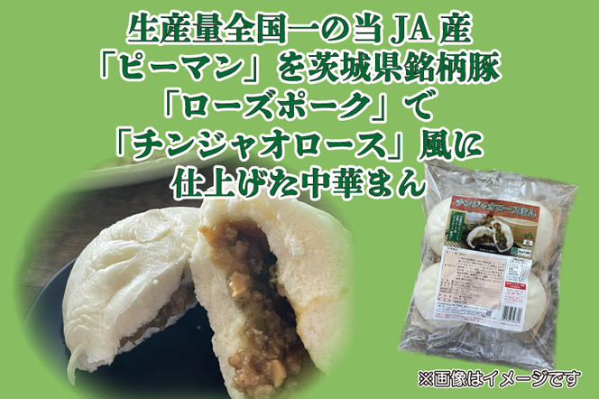 AE-79【ローズポーク使用】JA・ニラたっぷり肉餃子（30個）＋チンジャオロースまん（4個）
