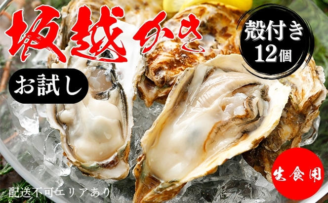 牡蠣 お試し 坂越かき 殻付き牡蠣 12個 軍手・オイスターナイフ付き[ 生牡蠣 かき カキ 殻付 生食 一人暮し 冬牡蠣 ]