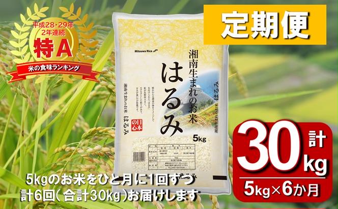 【定期便6か月（5kg×6か月）】湘南生まれのお米 神奈川県産はるみ【特Aランク】精米 米 お米 白米 5キロ 神奈川米 米の食味ランキング 常温 甘み ねばり やや弱め 玉子かけごはん 粒が大きい