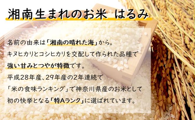 【定期便6か月（5kg×6か月）】湘南生まれのお米 神奈川県産はるみ【特Aランク】精米 米 お米 白米 5キロ 神奈川米 米の食味ランキング 常温 甘み ねばり やや弱め 玉子かけごはん 粒が大きい