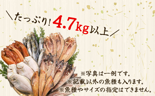 【2025年1月下旬発送】訳あり 干物・切身 セット 4.7kg以上 規格外 傷 不揃い