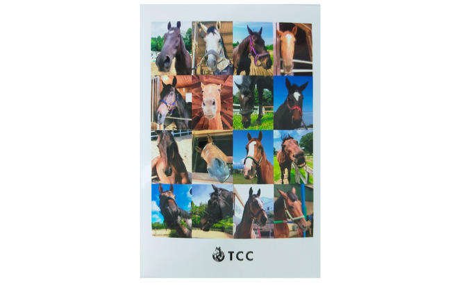 TCCホースシュー 世界に一つだけの蹄鉄 馬 ホース 幸運 ラッキーアイテム インテリア