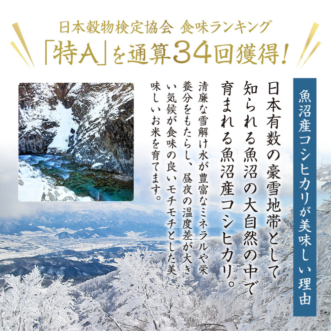 ＜新米発送＞【定期便/全6回】十日町産魚沼コシヒカリ 米屋五郎兵衛 精米5kg