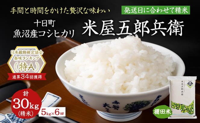 【定期便/全6回】十日町産魚沼コシヒカリ 米屋五郎兵衛 棚田米 精米5kg