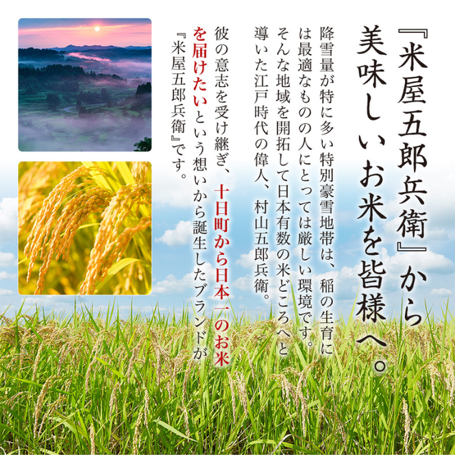 ＜新米発送＞【定期便/全6回】十日町産魚沼コシヒカリ 米屋五郎兵衛 棚田米 精米5kg