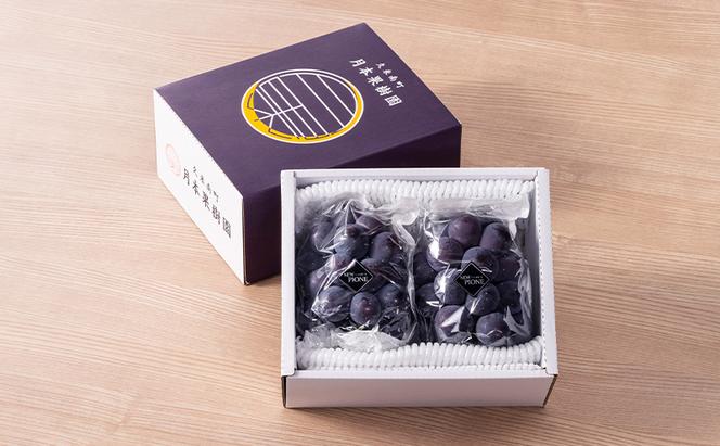 ぶどう 2024年 先行予約 ニューピオーネ 1kg箱（2房） 葡萄 ブドウ 岡山県産 フルーツ 果物
