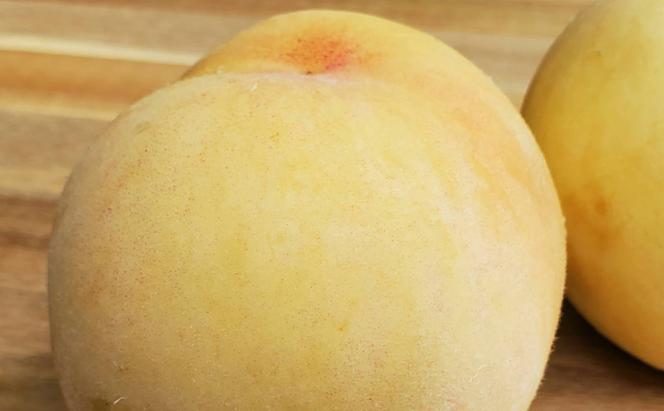 桃 2024年 先行予約 清水白桃 6個（約1Kg） もも モモ 岡山県産 フルーツ 果物