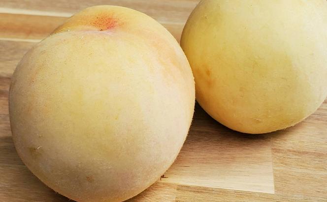 桃 2024年 先行予約 清水白桃 6個（約1Kg） もも モモ 岡山県産 フルーツ 果物