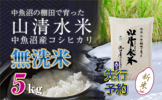 【新米先行受付】新潟県魚沼産コシヒカリ「山清水米」無洗米5kg