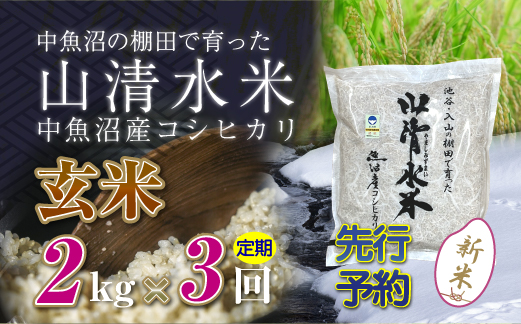 【新米先行受付】【定期便／全3回】玄米2kg　新潟県魚沼産コシヒカリ「山清水米」