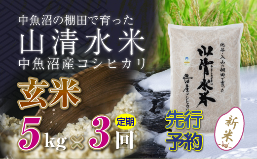 【新米先行受付】【定期便／全3回】玄米5kg　新潟県魚沼産コシヒカリ「山清水米」