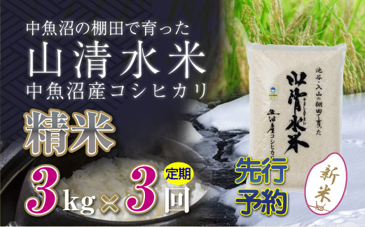 【新米先行受付】【定期便／全3回】精米3kg　新潟県魚沼産コシヒカリ「山清水米」