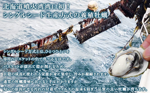 【北海道産】生牡蠣 殻付き 1kg (15～18個) 生食 シングルシード　牡蠣 かき カキ