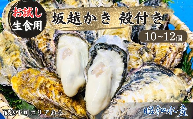 牡蠣 生食用 お試し 坂越かき 殻付き 10～12個 成林水産 [ 生牡蠣 真牡蠣 かき カキ 一人暮し 冬牡蠣 ]