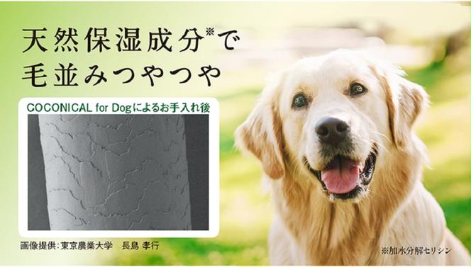 《絹生活研究所》COCONICAL for Dogシャンプー