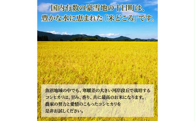【2023年度産】魚沼産特別栽培米コシヒカリ　10kg