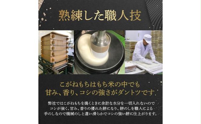 【贈答用】魚沼産こがねもち100％使用 令和6年産　越路餅500g3種　4点セット（白2個、草1、豆1）包装付