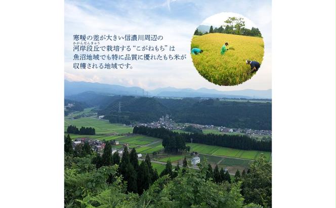 【贈答用】魚沼産こがねもち100％使用 令和6年産　越路餅500g3種　4点セット（白2個、草1、豆1）包装付