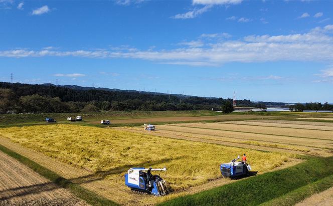 【令和5年産定期便】魚沼産コシヒカリ　特別栽培米【栽培期間中化学肥料不使用、農薬8割減】　精米2kg×6回