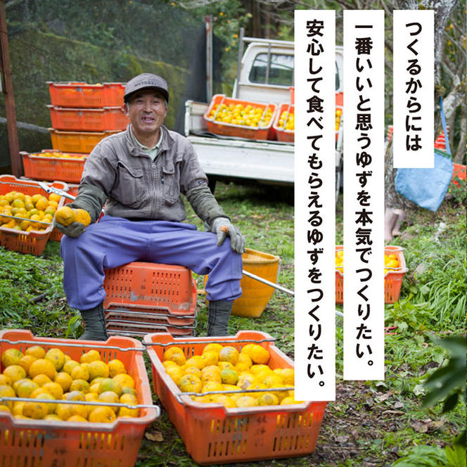 ごっくん村セット ゆずぽん酢 ゆずジュース 調味料 ぽん酢醤油 はちみつ ドリンク  詰め合わせ お中元 お歳暮  ギフト 高知県 馬路村【510】