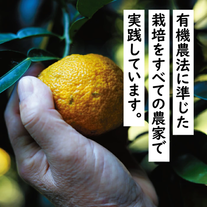 ゆずポン酢 1000人の村/500ml×6本 調味料 ゆず 柚子 ドレッシング 有機 オーガニック 鍋 水炊き ギフト 贈答用 のし お中元 お歳暮 高知県馬路村