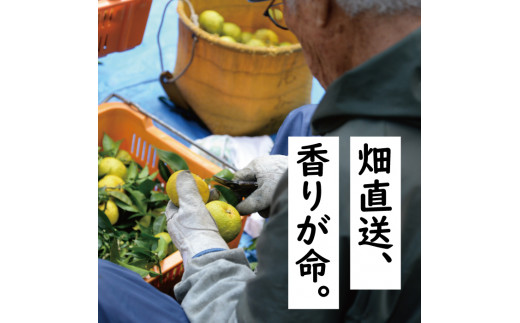 ゆずしぼり　500ml×2本　柚子 ゆず 果汁 100％ 有機 オーガニック 搾り汁 ゆず酢 柚子酢 果実酢 酢 クエン酸 ビタミンC 酸味 お中元 お歳暮  ギフト 贈答用 高知県 馬路村【648】