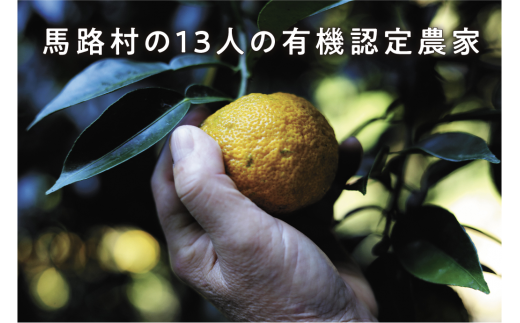 有機ゆずしぼり　360ml×2本　柚子 ゆず 果汁 100％ 有機 オーガニック 搾り汁 ゆず酢 柚子酢 果実酢 酢 クエン酸 ビタミンC 酸味 お中元 お歳暮  ギフト 贈答用 高知県 馬路村【651】